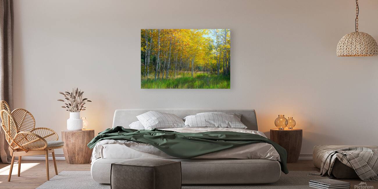 Golden Aspens & Green Dreams Natures Autumn Meadow Reproduction
