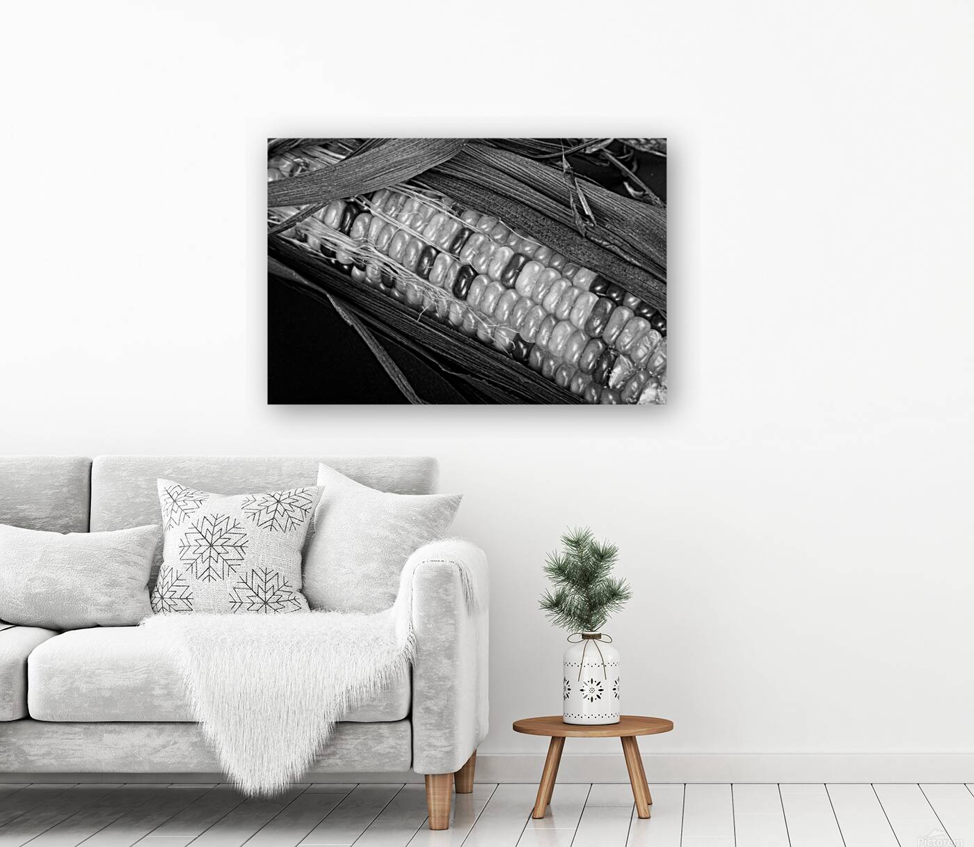 Indian Corn Black and White Reproduction