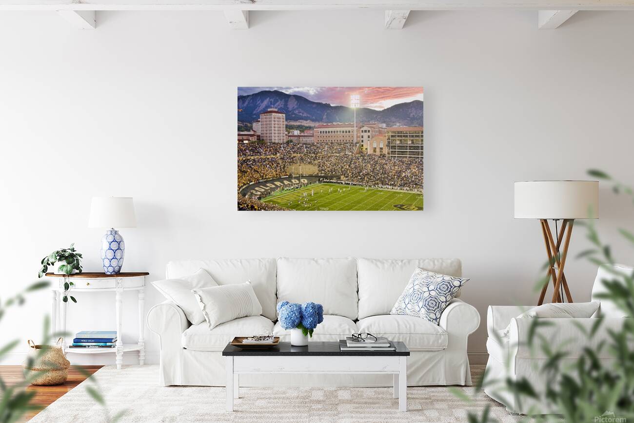 University of Colorado Boulder Go Buffs Reproduction