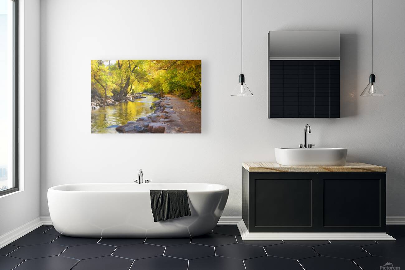 Boulder Colorado City Walk Reproduction