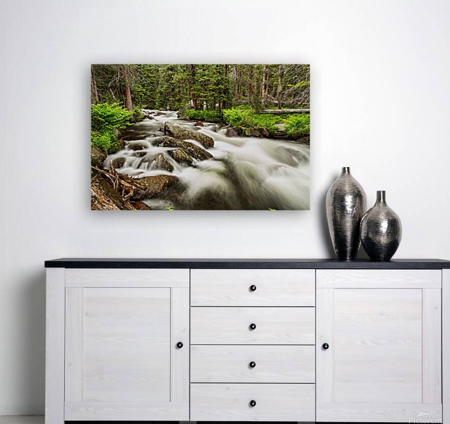 Roosevelt National Forest Stream Reproduction