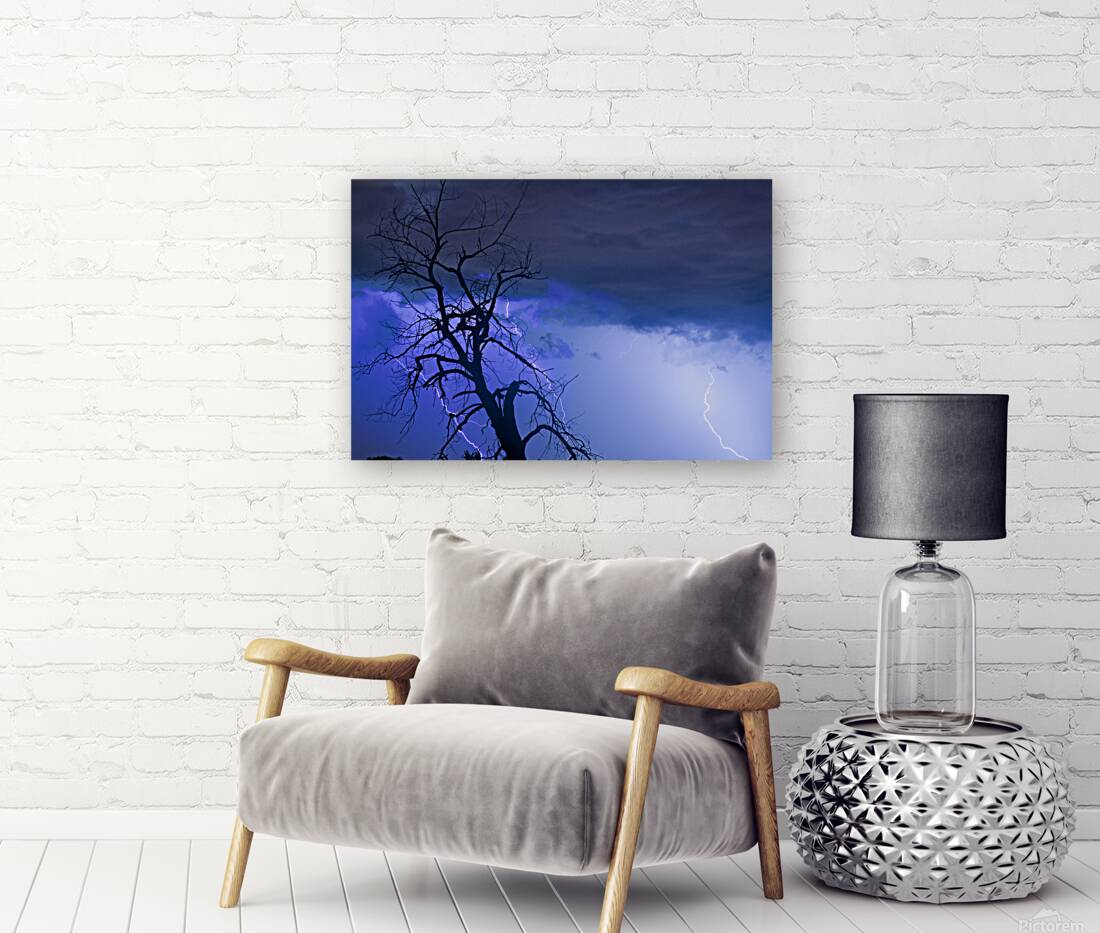 Lightning Tree Silhouette 38 Reproduction