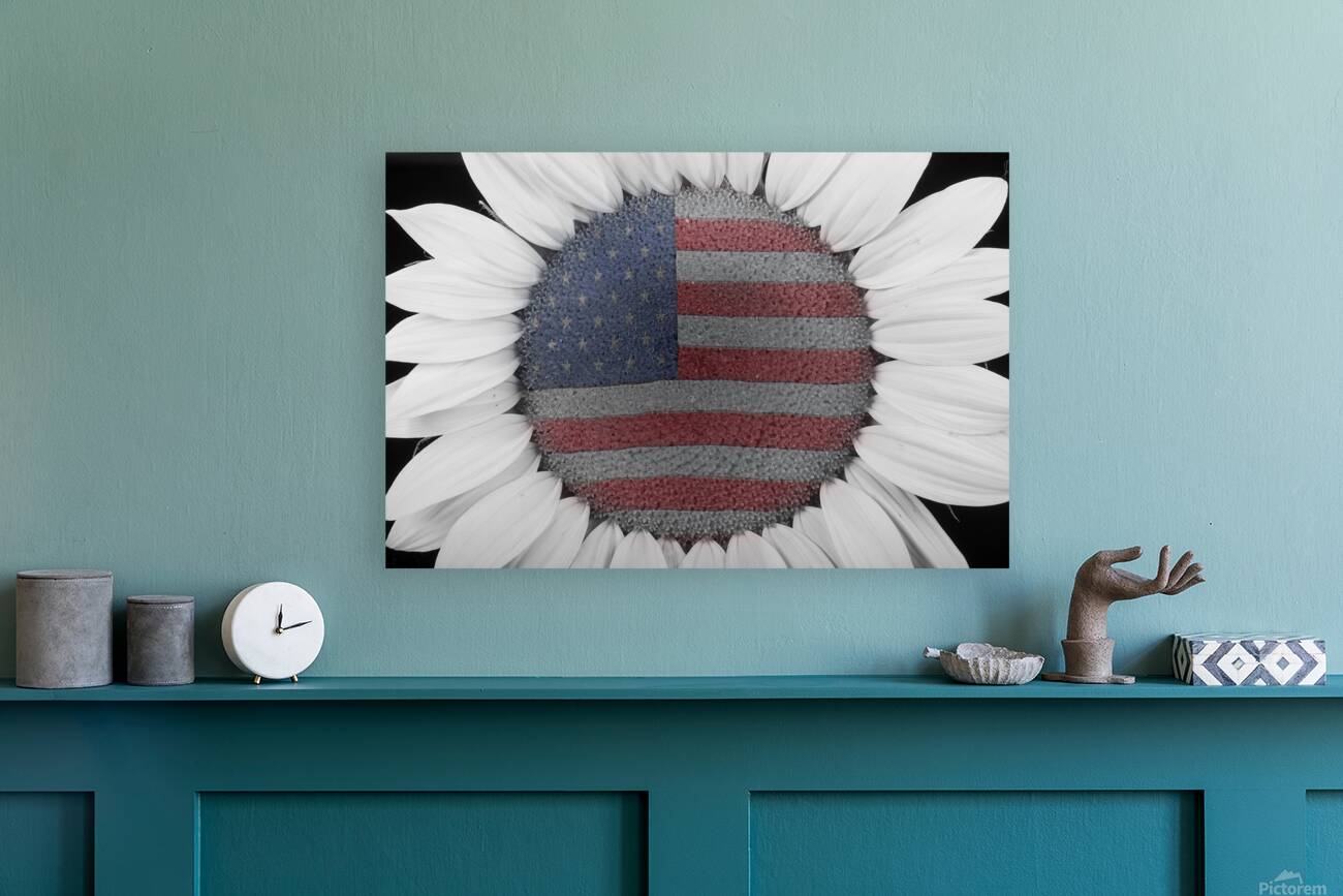 American Sunflower Power Reproduction