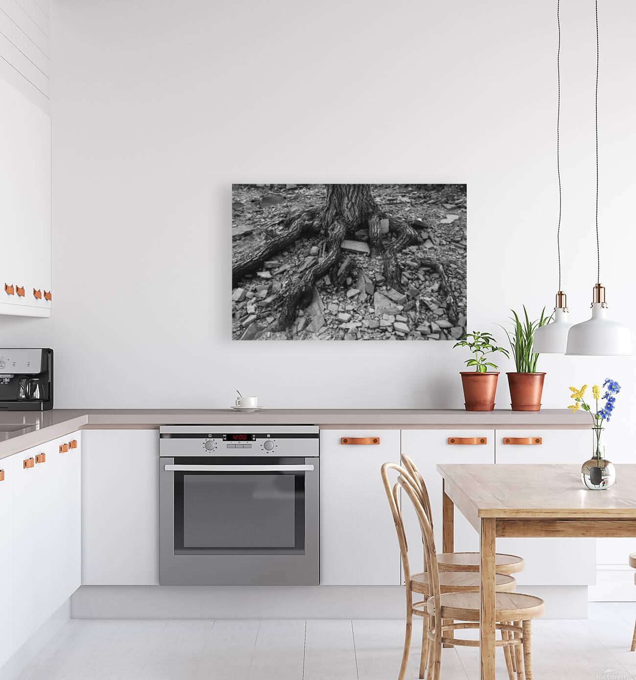 Tree Trunk Roots Exposed Reproduction