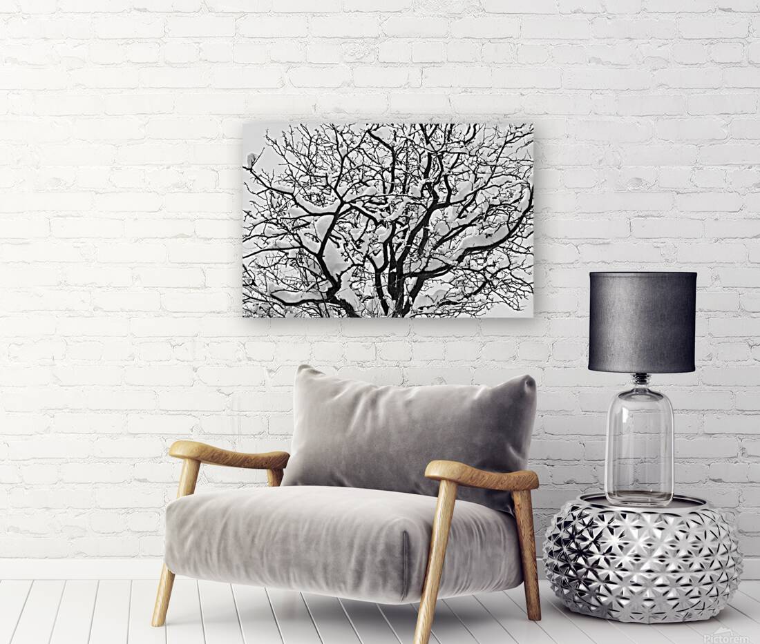 Snowy Tree Black and White Reproduction