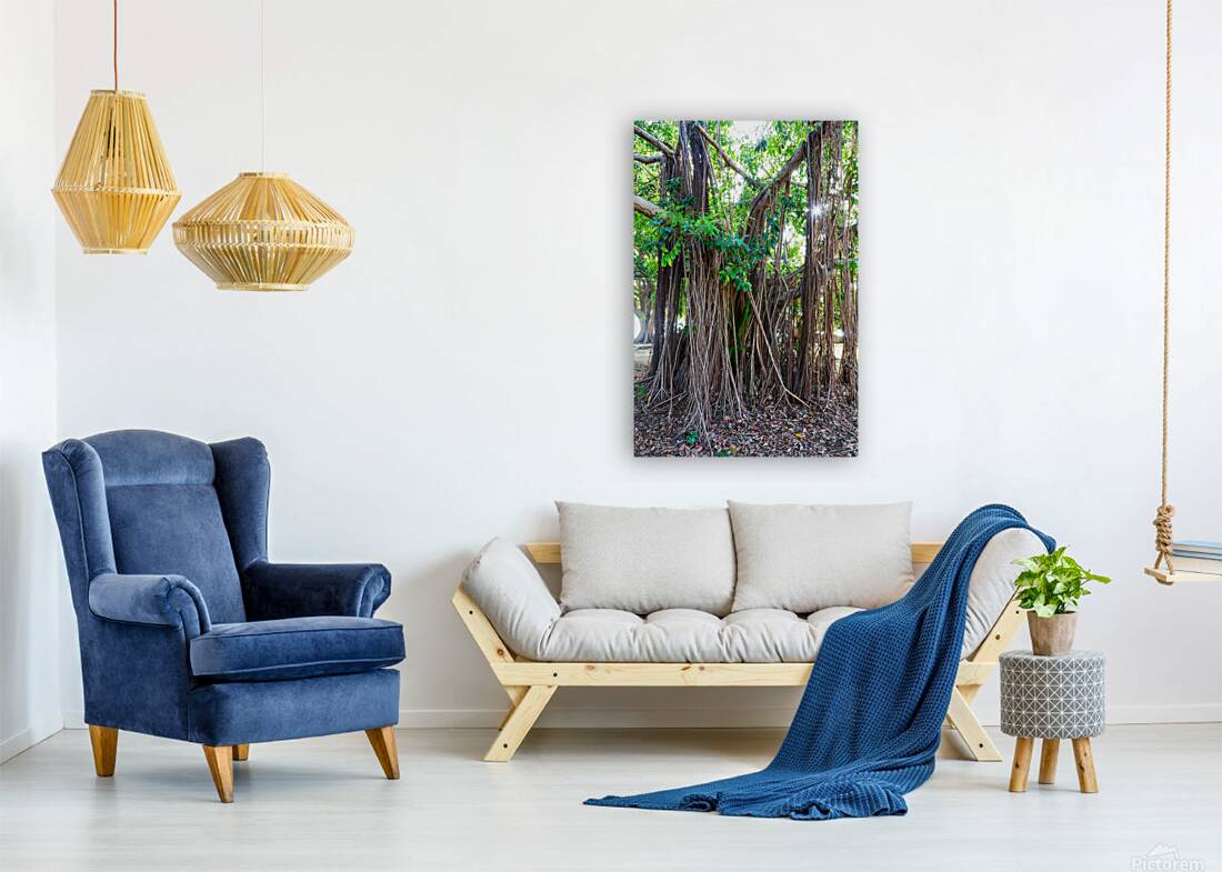 Majestic Magnificent Banyan Tree Portrait Reproduction