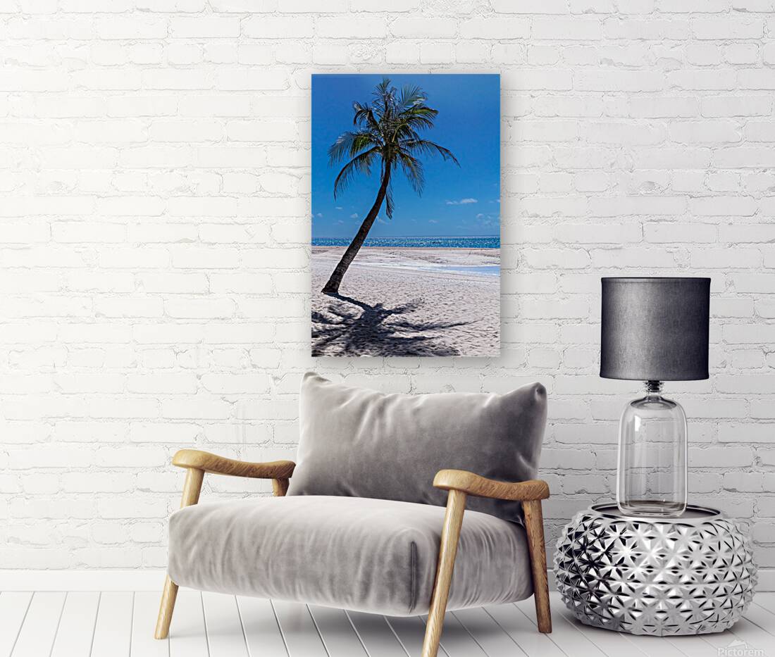 White Sand Beaches and Tropical Blue Skies Reproduction