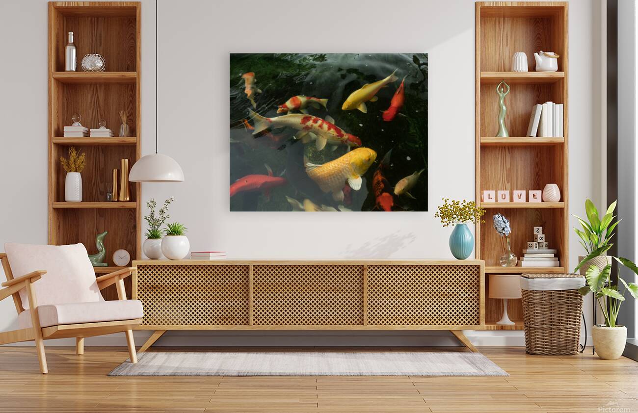 Koi Dance Twilight Reproduction