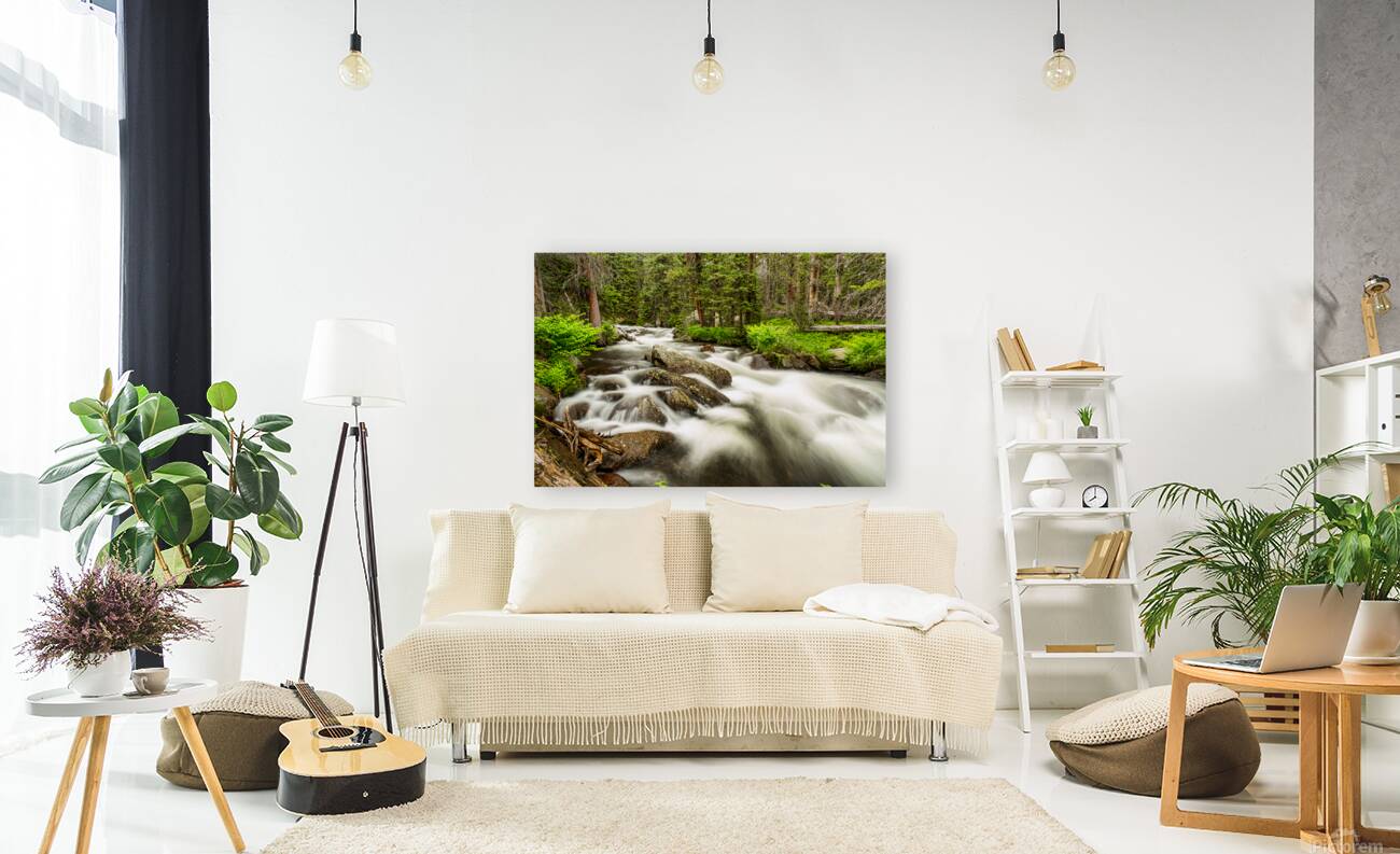 Roosevelt National Forest Stream Reproduction