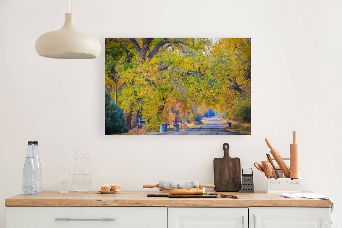 Awesome Country Road Reproduction