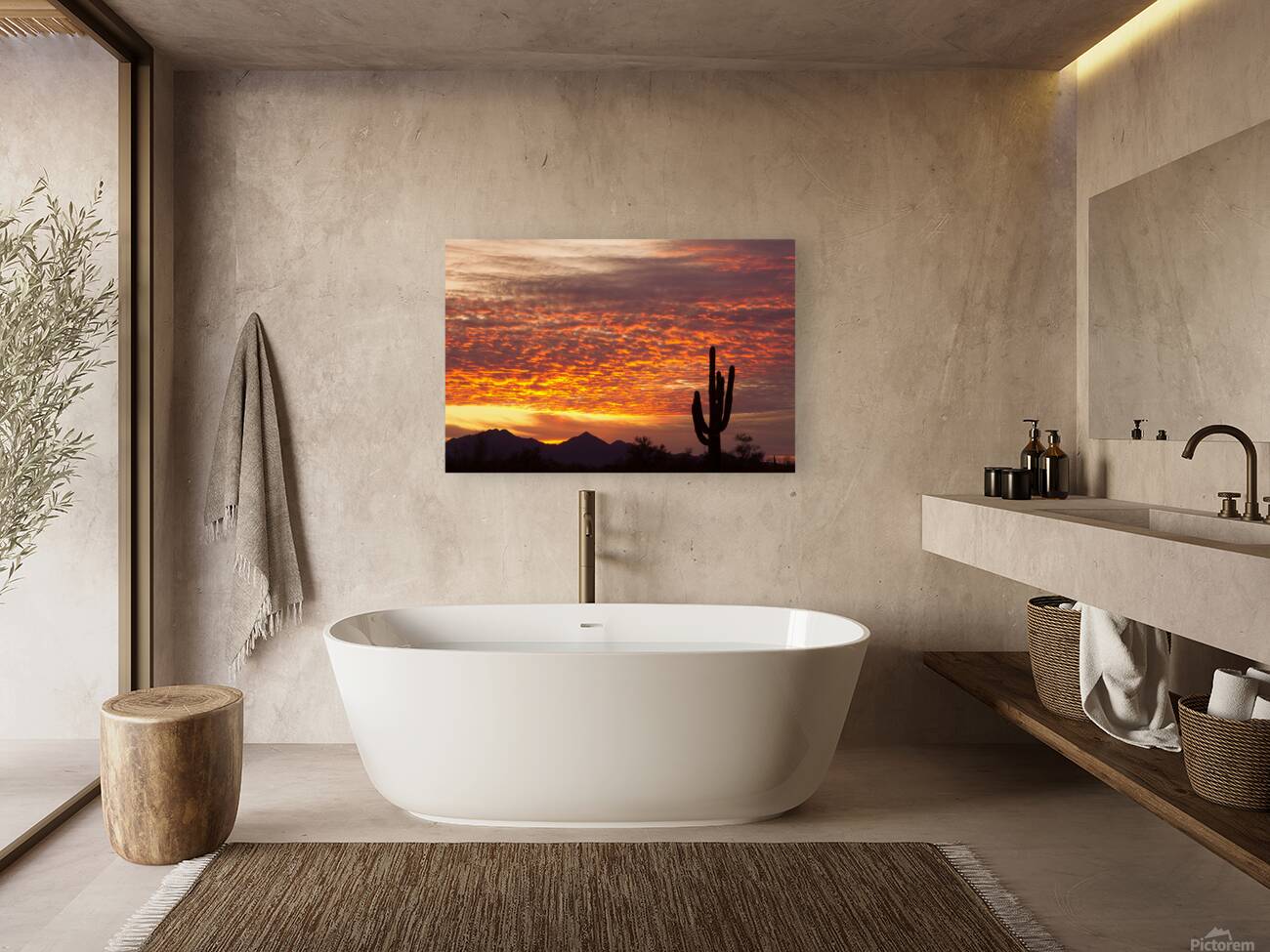 Morning Blaze Over Desert  Saguaro Giants in Arizona Reproduction