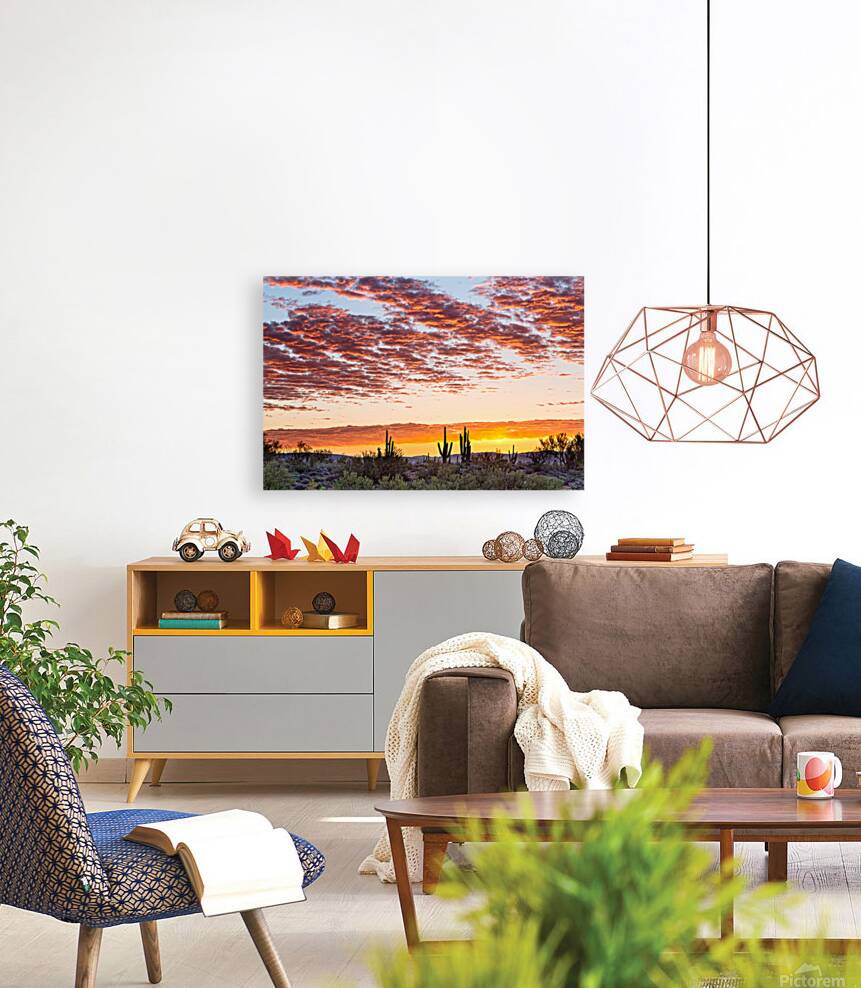 Colorful Sonoran Desert Sunrise Reproduction