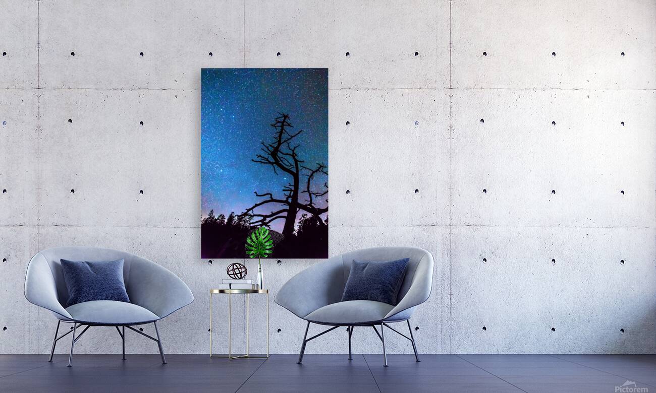 Starry Night Sky with Silhouette Tree Reproduction