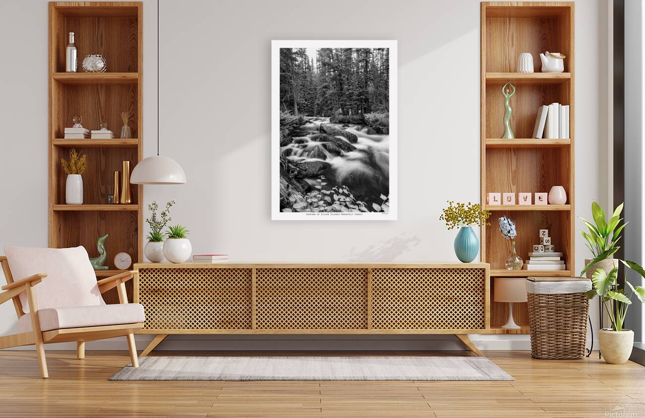 Cascade of Silver Silence Roosevelt Forest Reproduction