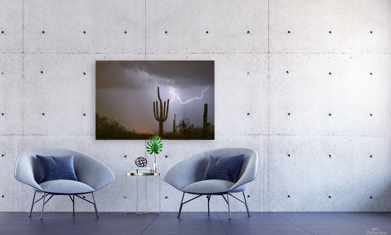 Desert Monsoon Lightning Saguaro Cactus Storm Photography Reproduction