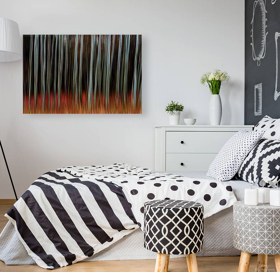 Whispers of Shadowed Light Fine Art Forest Motion Photography Reproduction