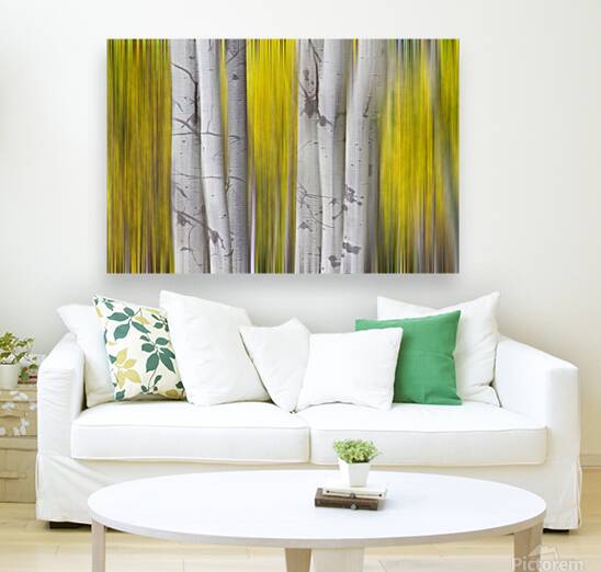 Golden Aspen Abstraction Fine Art Landscape Reproduction