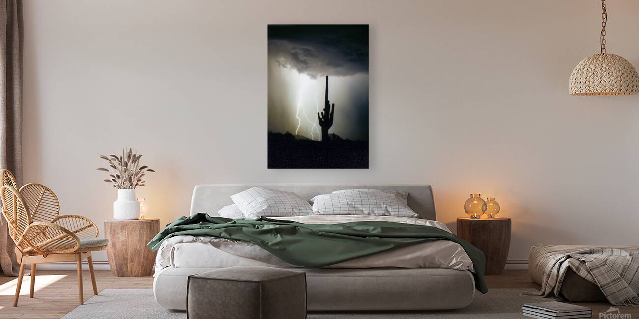 Lightning Swirl Saguaro Cactus Highlands Reproduction