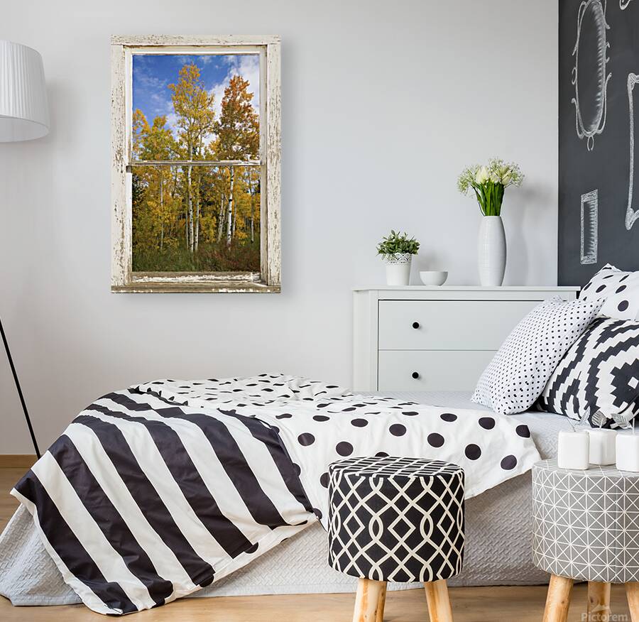 Colorado Autumn Aspens Nature Window View Reproduction