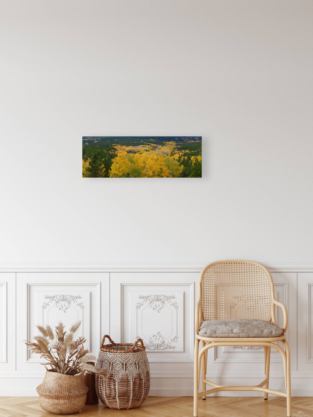 Colorado Autumn Panorama colorful Reproduction