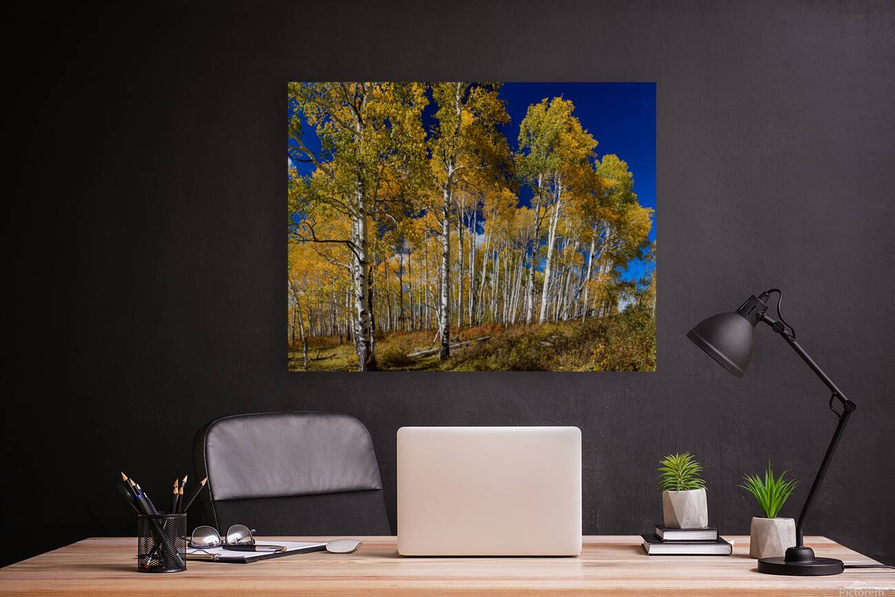 Autumn Blue Skies Reproduction