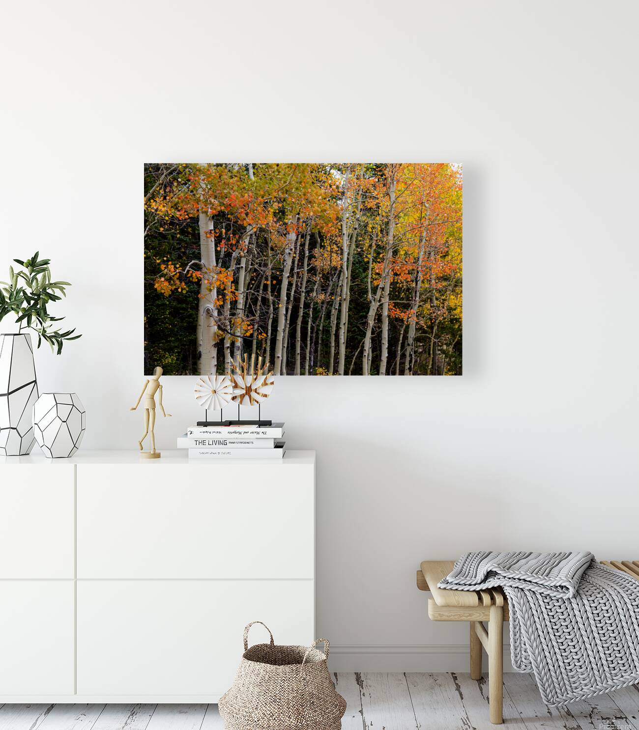 autumn seasons change Reproduction