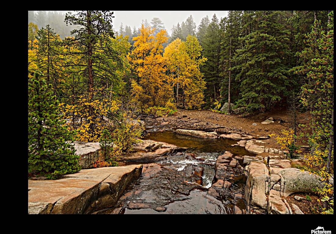 Downstream St Vrain Reproduction
