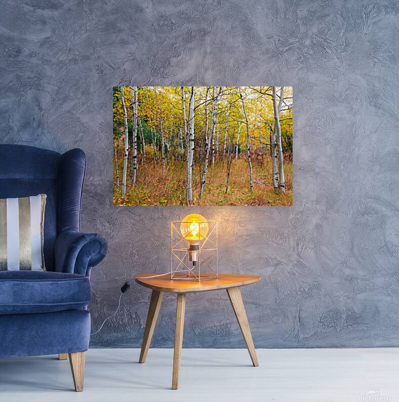 Happy Place In Woods Reproduction