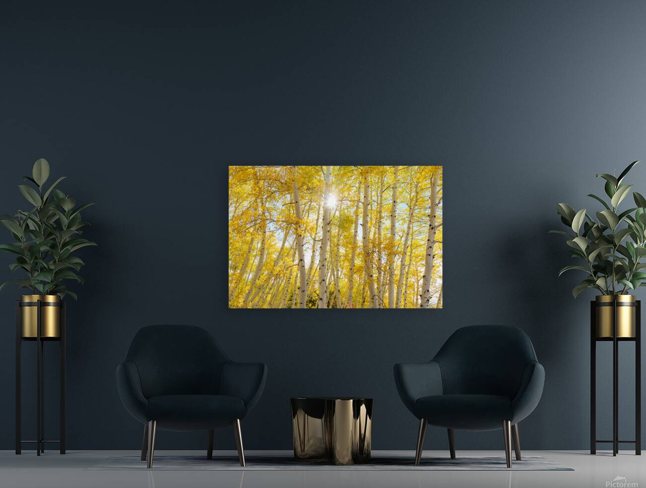 Golden Sunshine Autumn Day Reproduction