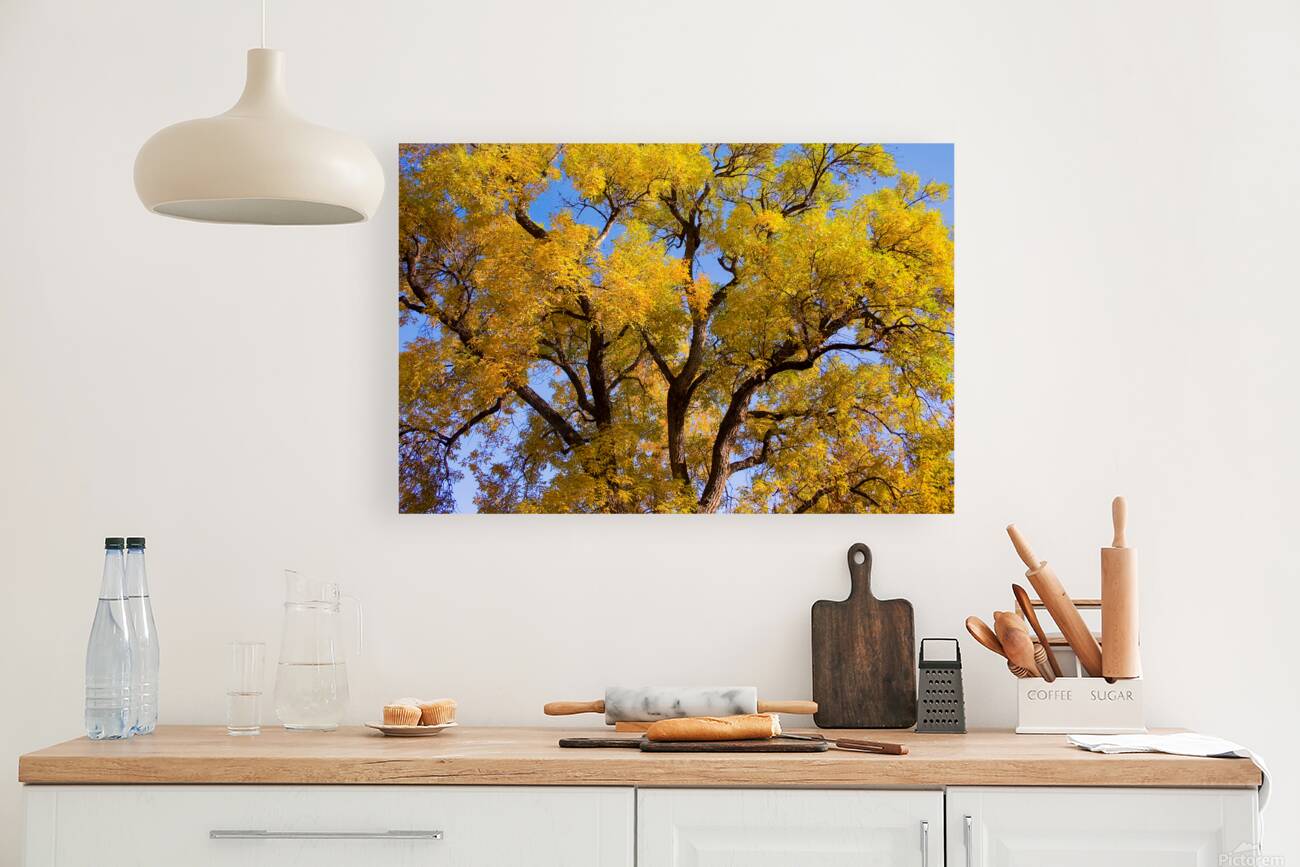  Magical Mystery Tour  Reproduction