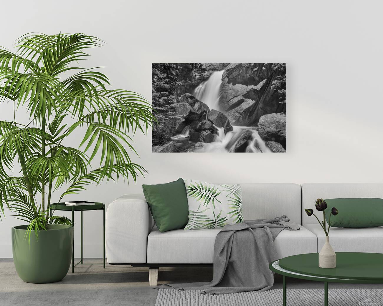 Colorado Ouzel Falls Black White Reproduction