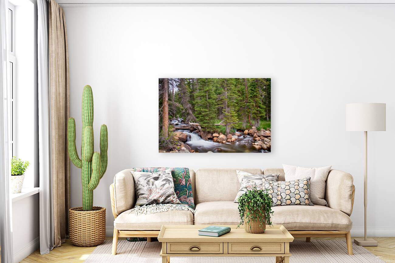 Colorado Rocky Mountain Forest Stream Reproduction