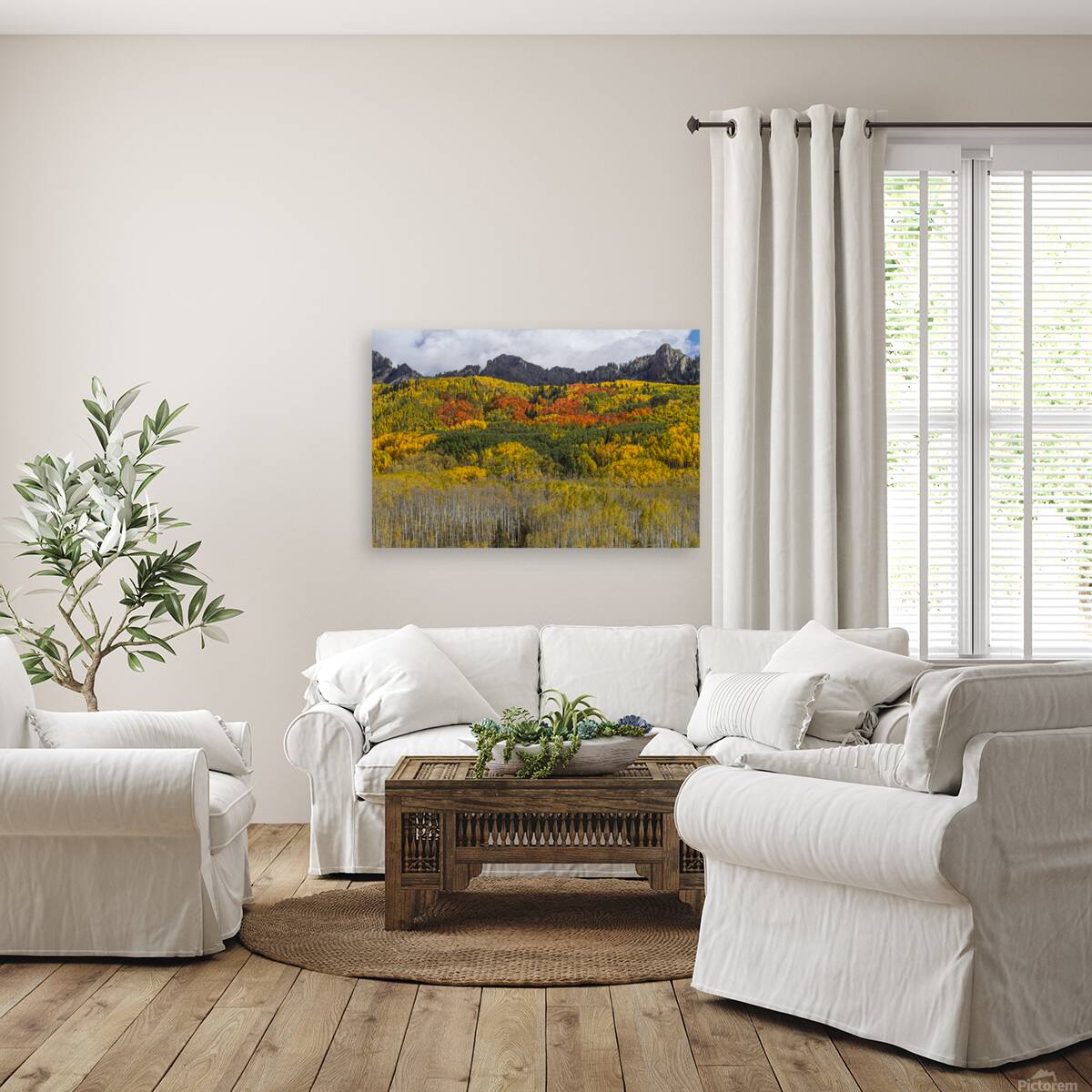 Colorado Kebler Pass Fall Foliage Reproduction