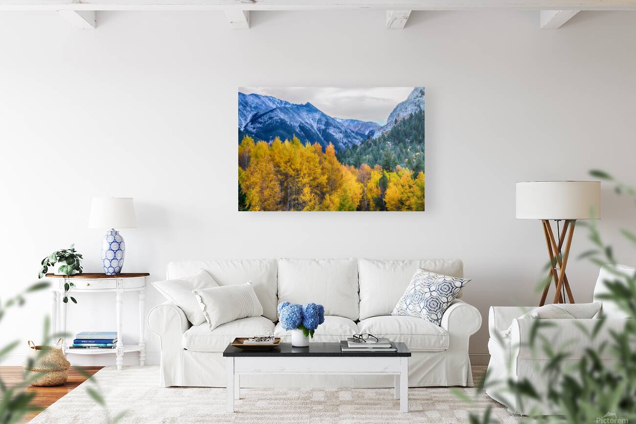 Colorful Crested Butte Colorado Reproduction