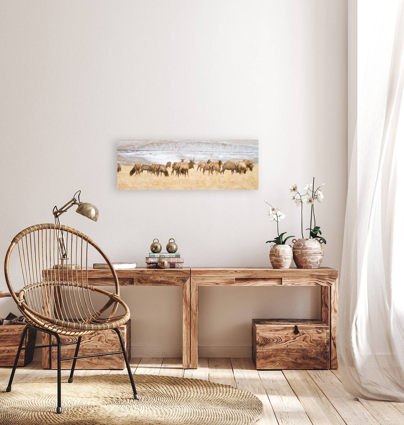 Elk Heard On The Rocky Mountain Foothills   Reproduction