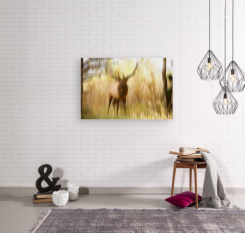 Bull Elk Forest Dreaming Reproduction