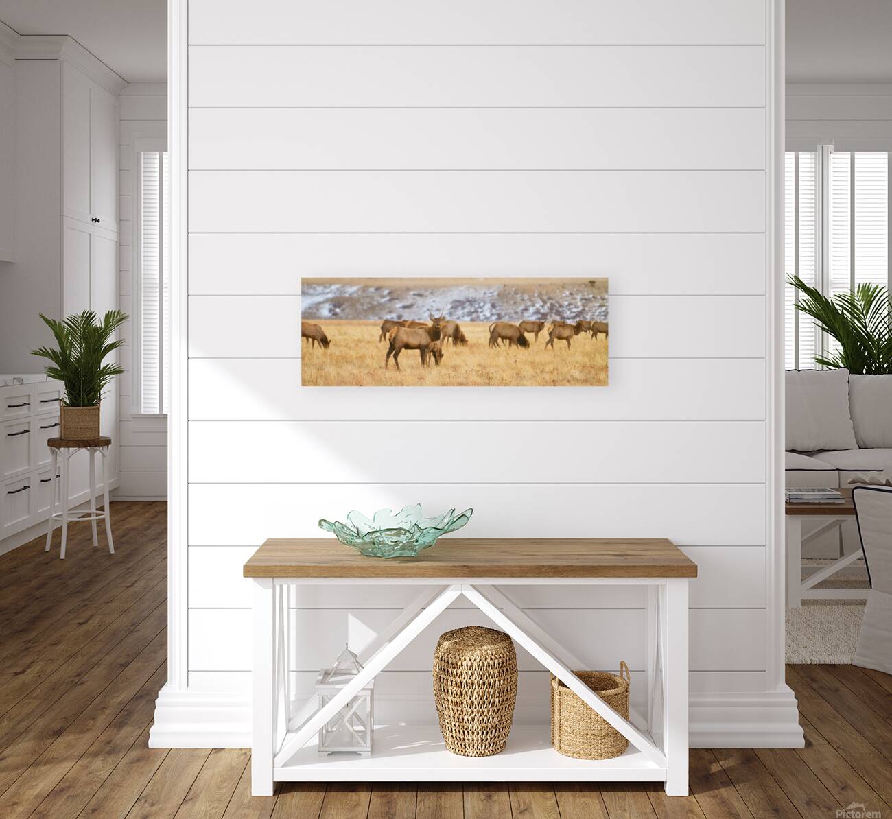 Elk Heard Colorado Foothills Plains Panorama Reproduction