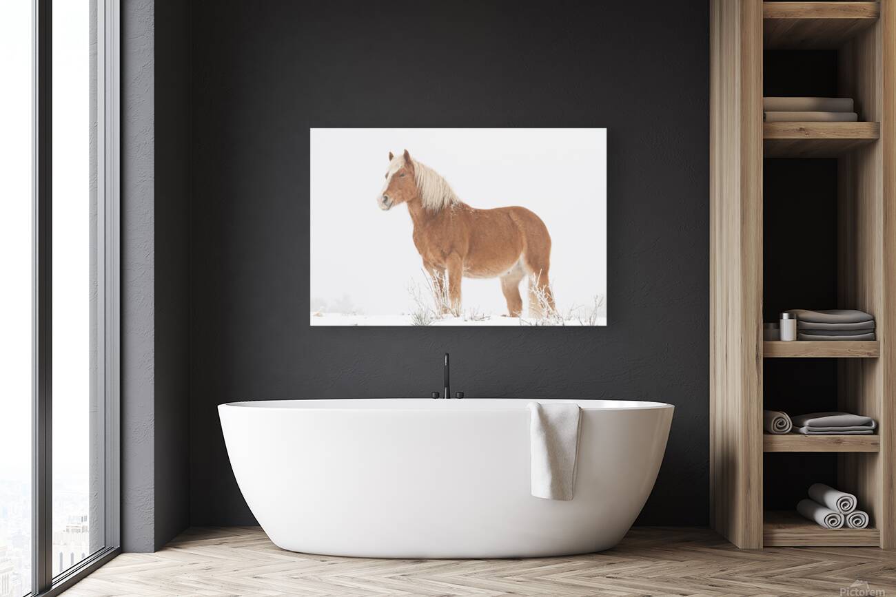 Smiling Palomino Snow Reproduction