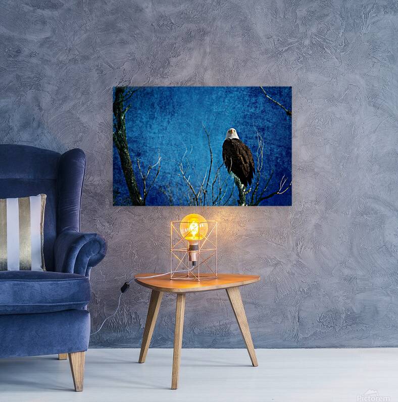 Bald Eagle Blues Into Night Reproduction