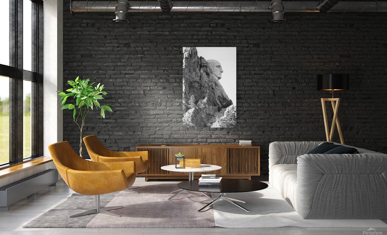 Silent Majesty George Washingtons Profile at Mount Rushmore Reproduction