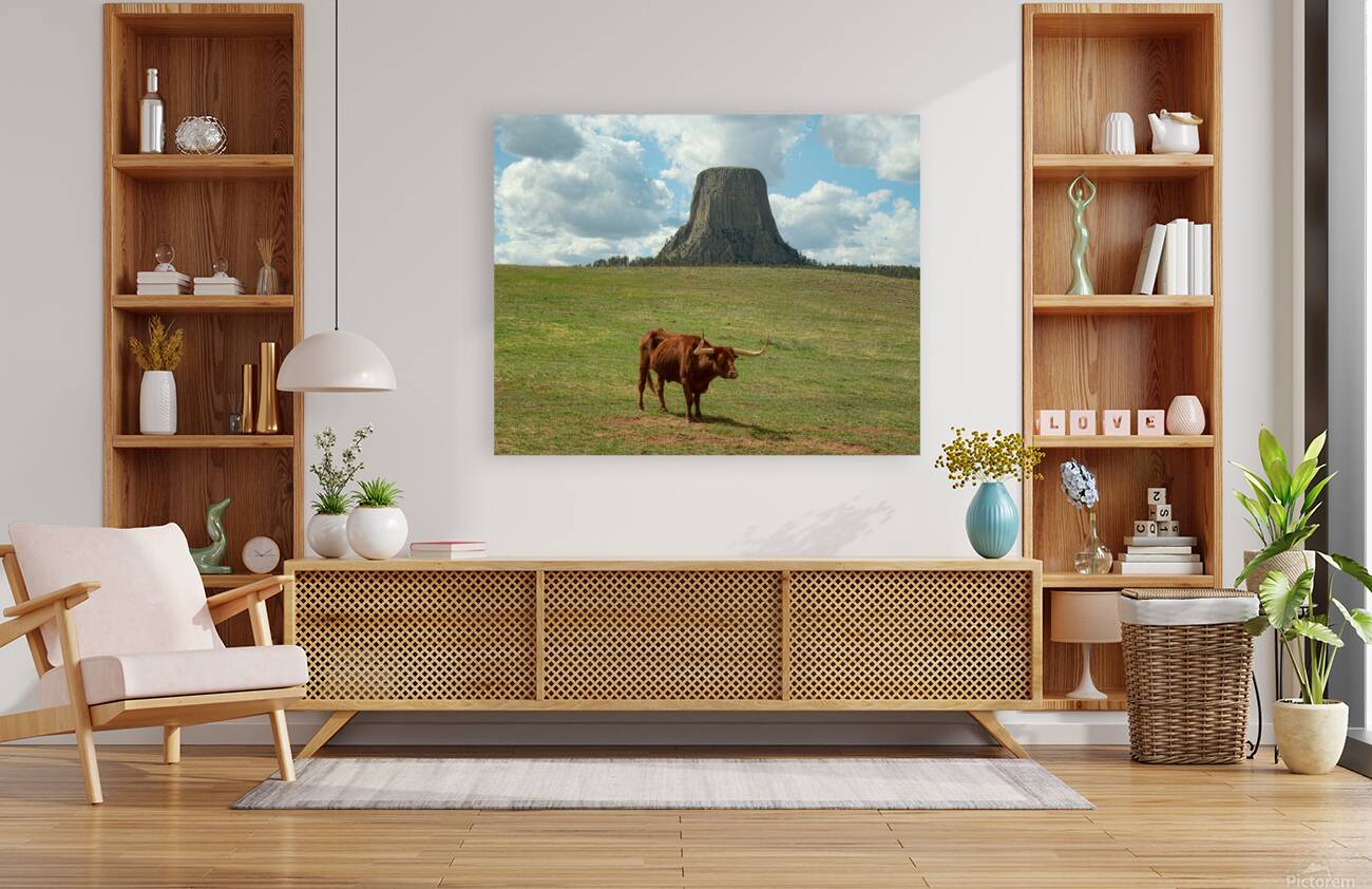 Longhorn Cow Posing at Devils Tower in Wyoming - First US Nation Reproduction