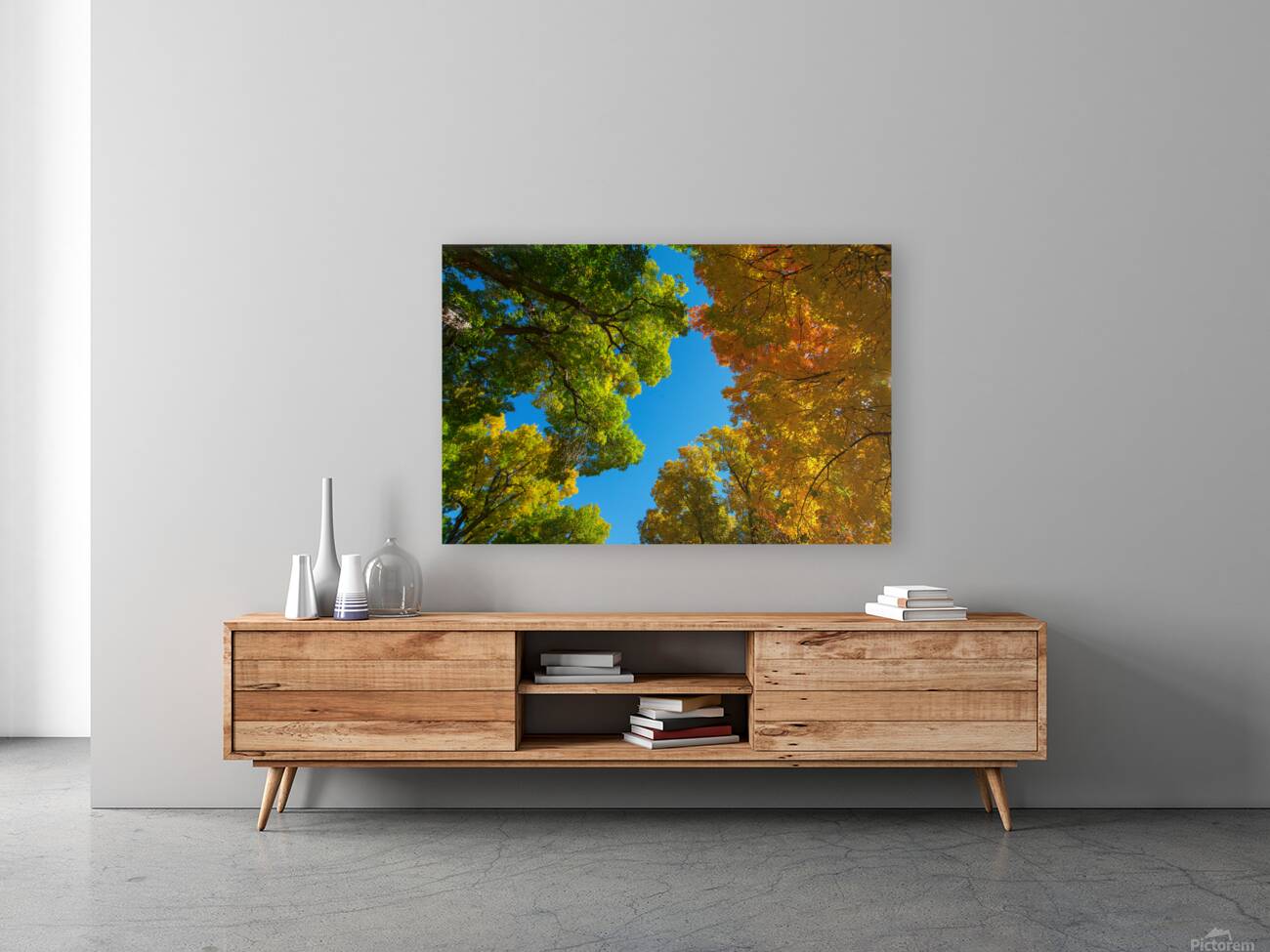 Autumns Radiant Canopy -  A Skyward View Reproduction