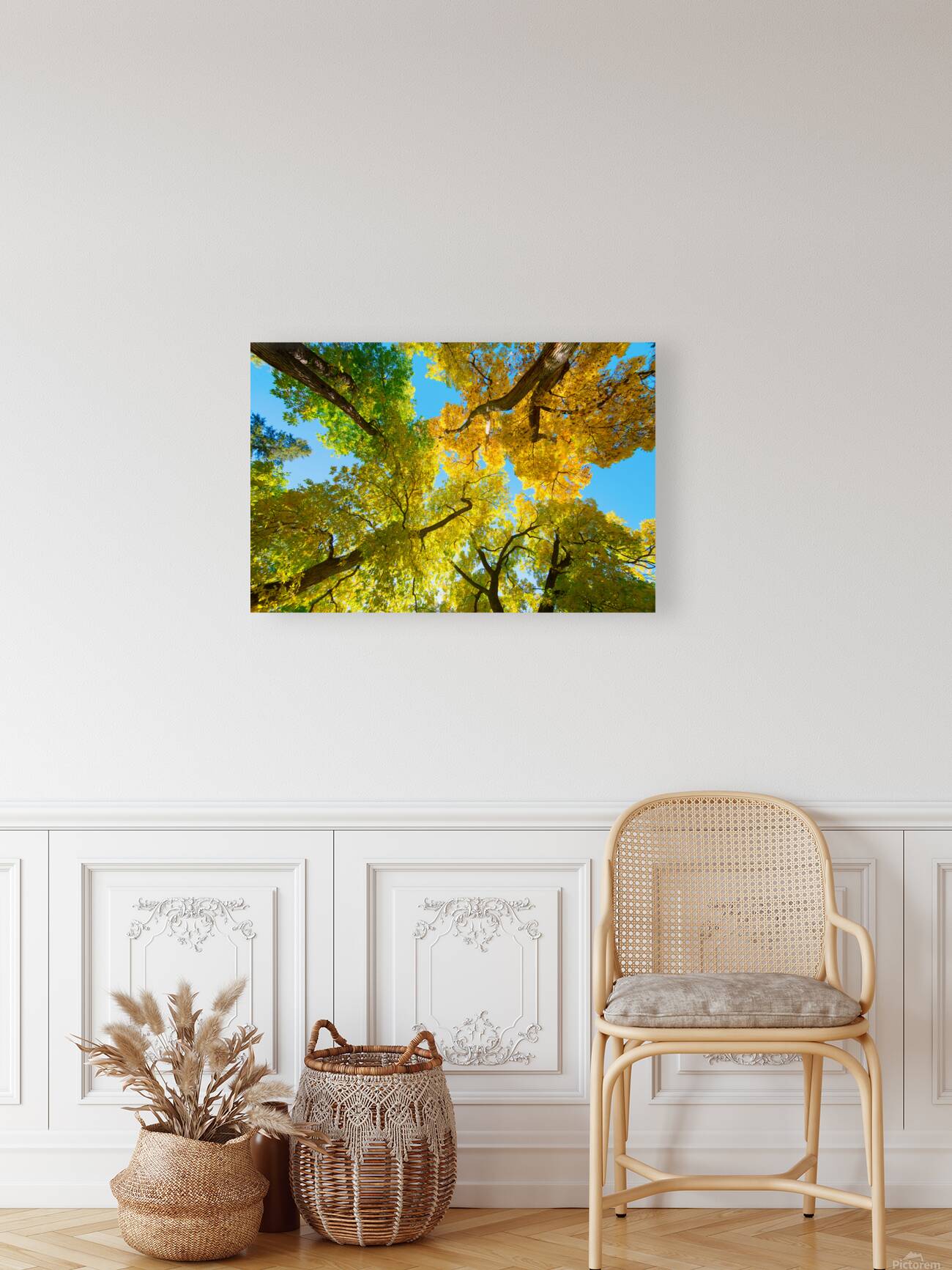 Vibrant Autumn Landscape - Colorful Trees under Blue Sky Reproduction