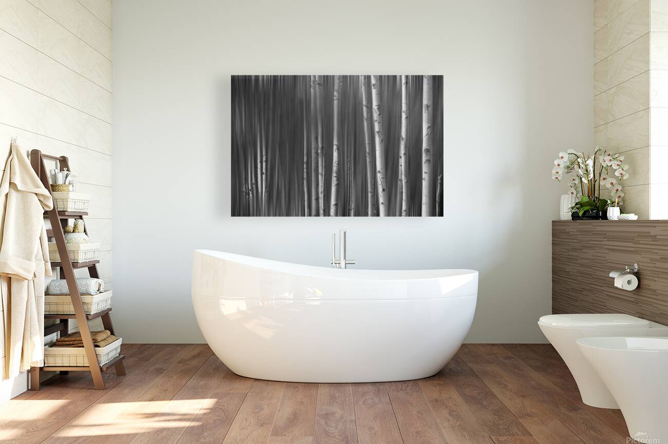 Somewhere Along the Road Dreaming Black and White Reproduction