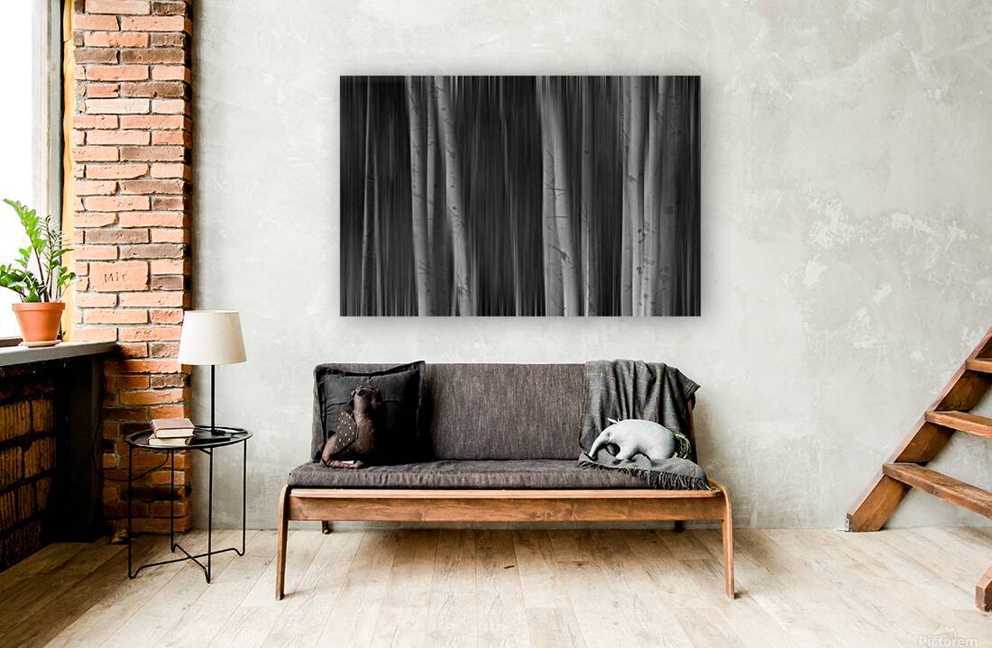 Aspen Trees Dreaming Black and White Abstract Reproduction