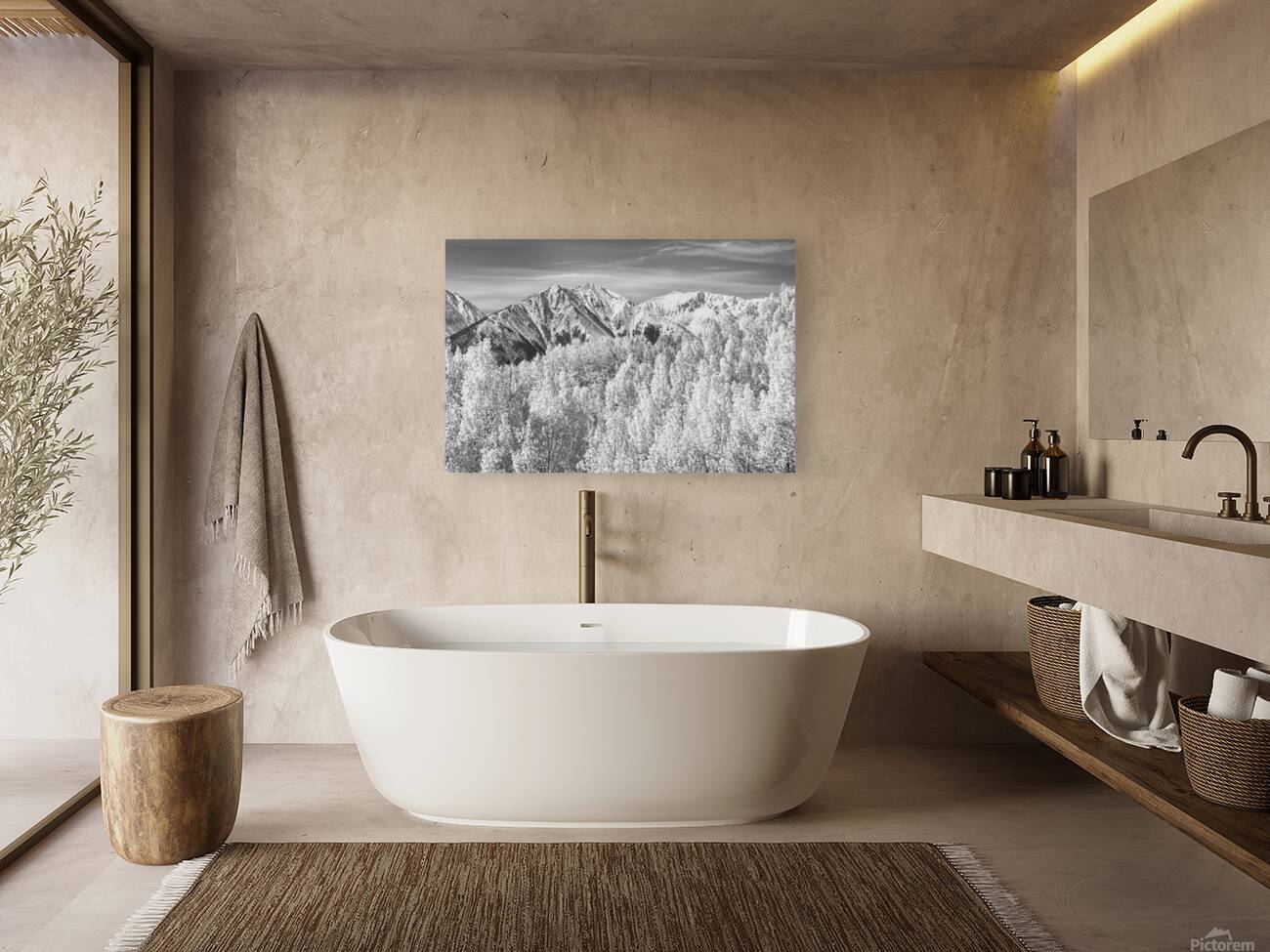 Colorado Rocky Mountain Autumn Beauty Black and White Reproduction