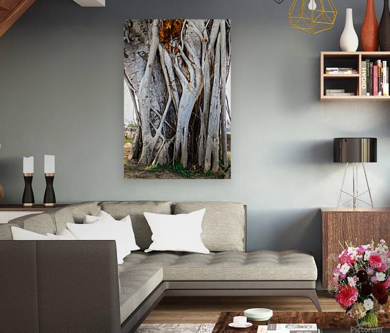 Magnificent and Colossal Intertwined Tree Reproduction