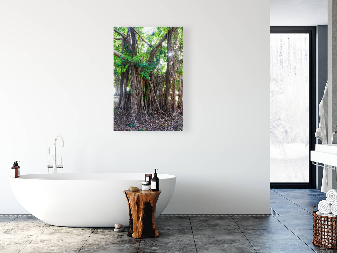 Majestic Magnificent Banyan Tree Portrait Reproduction