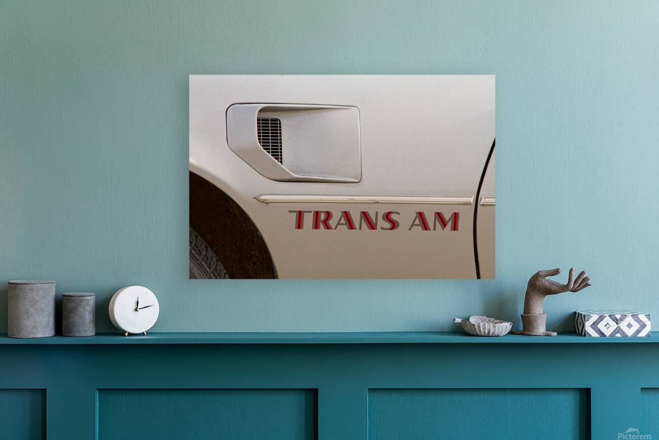 Firebird Trans Am Front Corner Panel Vent Reproduction