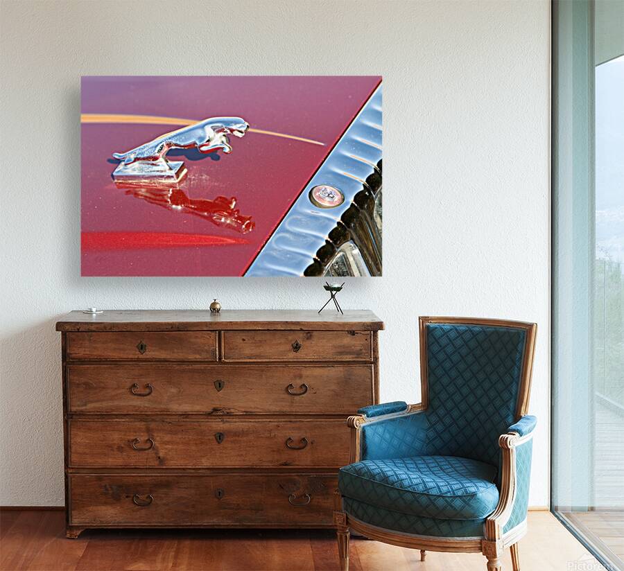 Jaguar Hood Ornamen and Emblem Reproduction